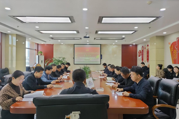 中共中临建设集团股份有限公司支部委员会 召开2024年度组织生活会暨民主评议 党员大会